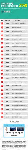 电声配件工厂排名前十(电声行业知名企业)插图