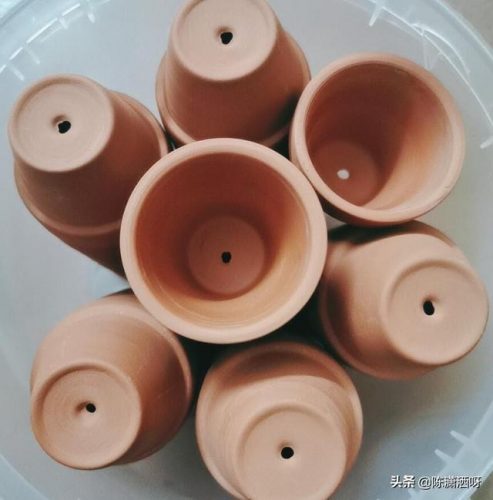 基地花盆厂家排名前十(附近的陶瓷花盆厂家)插图35