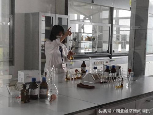 湖北制粒机厂商排名前十(FL系列沸腾制粒干燥机)插图1