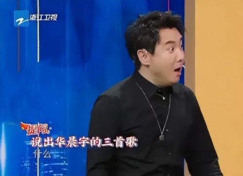 奇葩歌手高音排名前十(唱高音的女歌手)插图18