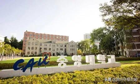 贵州韩语专业排名前十(有韩语专业的二本大学)插图8