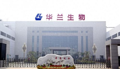 新乡首富资产排名前十(新乡的十大富豪)插图1