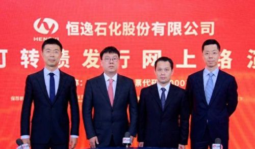 儋州重大企业排名前十(儋州龙头公司)插图9