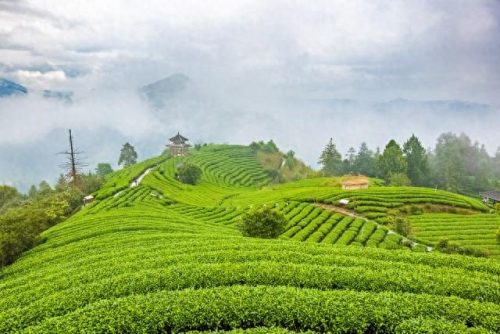 柳州十大景区排名前十(柳州对警察免费的景区)插图9