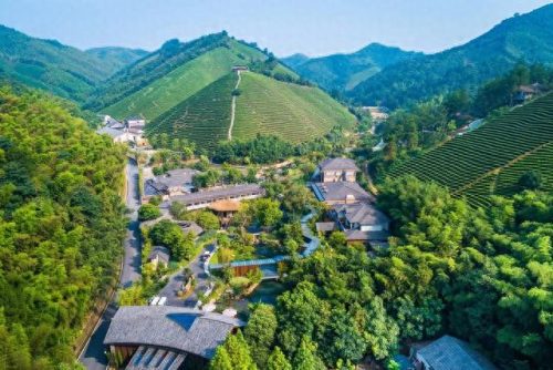 安吉冬季名宿排名前十(安吉网红名宿出售)插图14