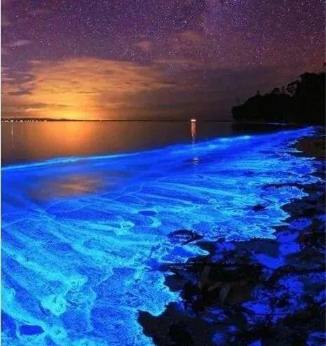 全球沙滩夜景排名前十(中国十大夜景城市)插图4
