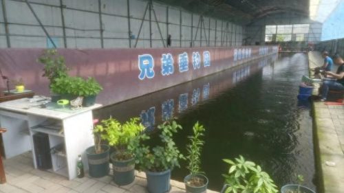大连垂钓平台排名前十(大连最佳口碑垂钓场)插图4