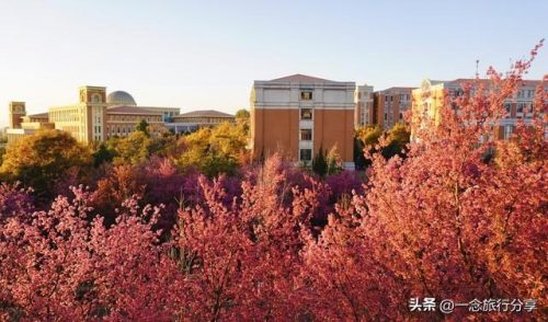 校园旅游规模排名前十(游客比学生多的大学)插图9