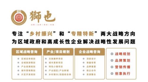 武定咨询公司排名前十(武定美食)插图2