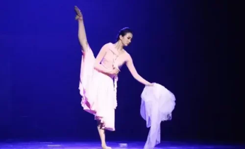 舞蹈老师武功排名前十(中国最厉害的舞蹈人物)插图1