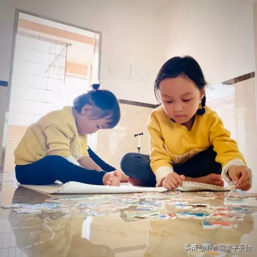 卡片拼图厂家排名前十(最著名的拼图品牌)插图4