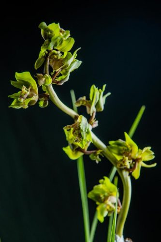随州风水大师排名前十(随州楼盘墓地)插图26