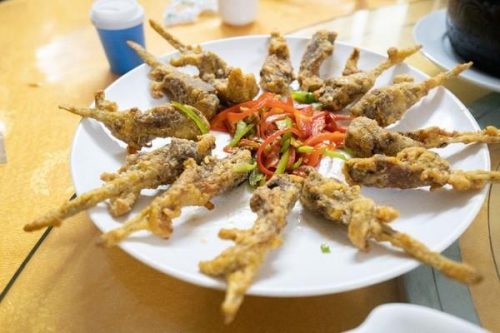 梧州吃饭餐厅排名前十(广西梧州美食)插图14