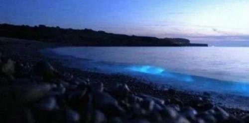全球沙滩夜景排名前十(中国十大夜景城市)插图7
