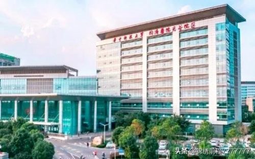 国内医疗团队排名前十(优秀的医疗团队简介)插图4