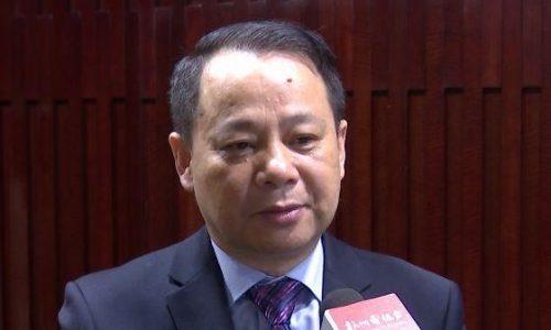 杭州细小医院排名前十(细小不治疗能好么)插图14