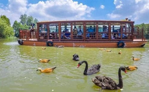 上海溜达景点排名前十(上海景点十大排名榜)插图34