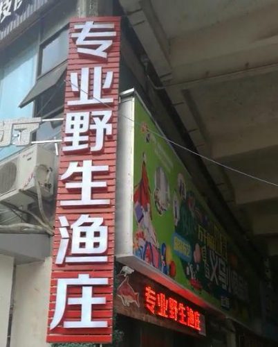 涪陵推荐餐厅排名前十(涪陵好吃的饭店排行榜)插图9