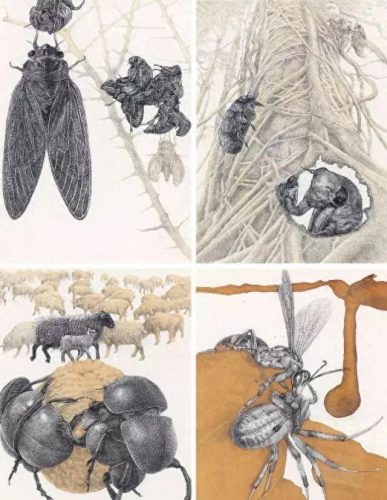 中国最高画展排名前十(著名画展有哪些)插图61