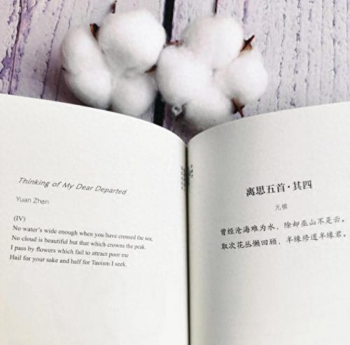排名前十的诗词英语(十大英文诗词排行榜)插图2