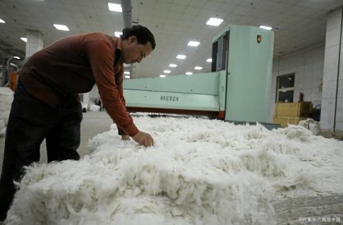 冷门商品项目排名前十(冷门的商品有哪些)插图1