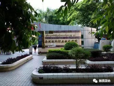 西双版纳中学排名前十(西双版纳最好的三个初中)插图19