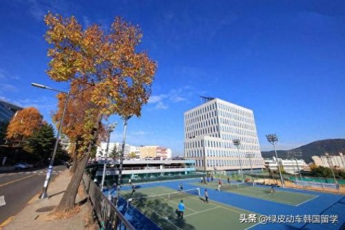 韩语上岸学校排名前十(入门韩语的学校)插图