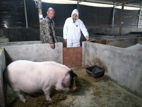 湘潭河口美食排名前十(湘潭有什么好吃的地方推荐)插图48