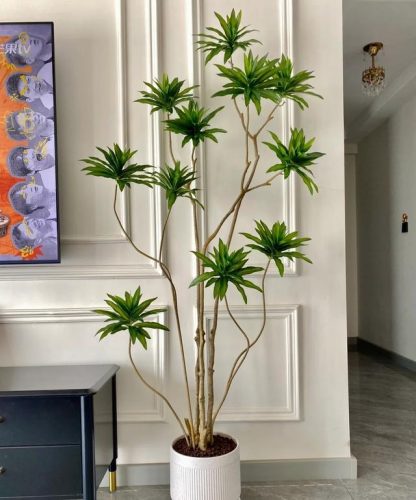 平价阳台植物排名前十(卧室里放什么植物比较好)插图70