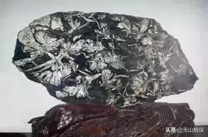 新疆玉石产地排名前十(新疆珠宝马爷玉石直播间)插图17
