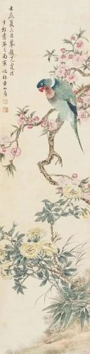 鹦鹉荔枝品种排名前十(最聪明的鹦鹉排名)插图9
