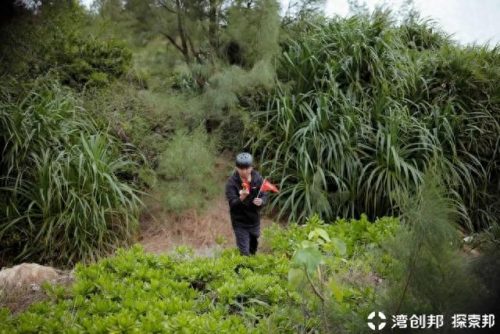 荒岛生存比赛排名前十(荒岛男女生存纪录片)插图16