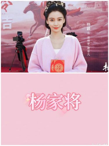 明星粉丝应援排名前十(明星应援口号)插图7
