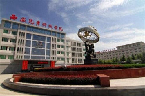 陕西国际大专排名前十(陕西公办大专全国排名)插图8