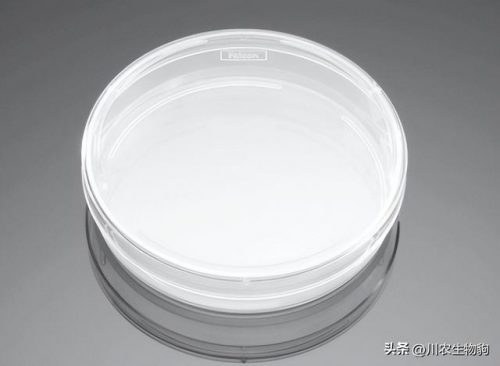 丹麦耗材公司排名前十(中国十大医疗器械公司)插图5