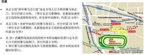 大阪马术俱乐部排名前十(马术俱乐部如何盈利)插图2