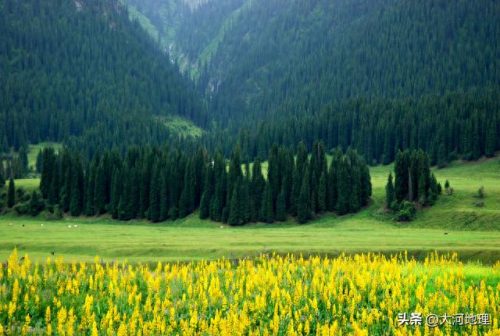新疆最美河谷排名前十(新疆最美十大风景区)插图8