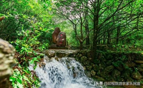 丽水名宿农庄排名前十(兔子名宿丽水)插图22