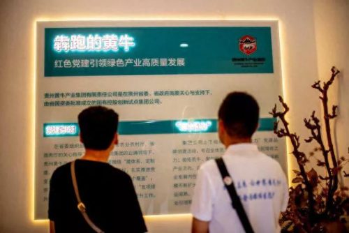 贵州黄牛企业排名前十(贵州省百强企业)插图5