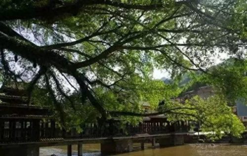 梧州乡村景区排名前十(梧州的景区排名)插图29