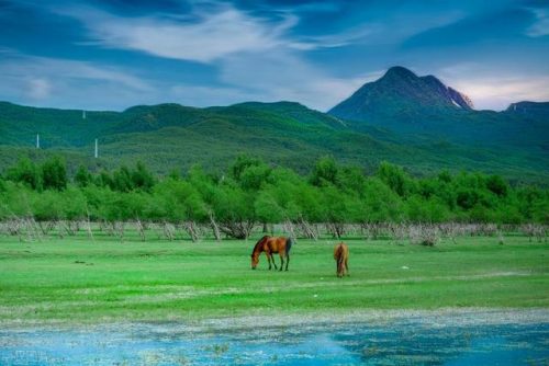 丽江最美建筑排名前十(丽江必去景点)插图36