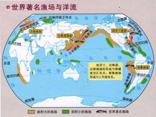巴西最大渔场排名前十(全球十大渔场)插图1