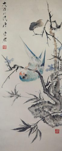 鹦鹉荔枝品种排名前十(最聪明的鹦鹉排名)插图18