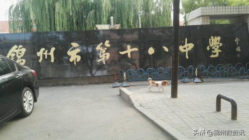 锦州黑山小学排名前十(锦州市哪个小学最好)插图7