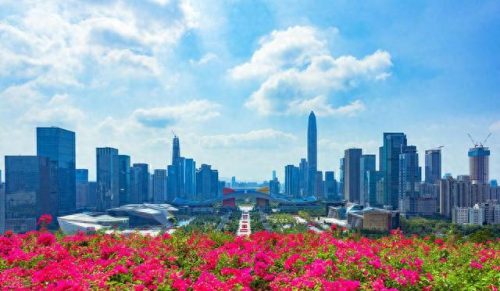 深圳景区乐园排名前十(颐年卡可以免费进入深圳哪些景区)插图21