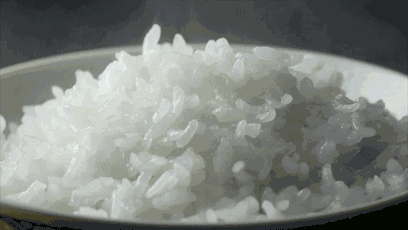 国外大牌电饭煲排名前十(什么样的电饭煲最好)插图