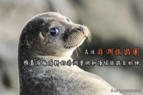 非洲歌手演员排名前十(非洲女歌手米兰)插图11