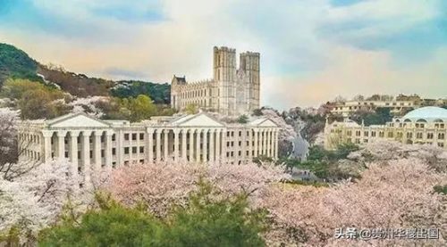 贵州韩语专业排名前十(有韩语专业的二本大学)插图7