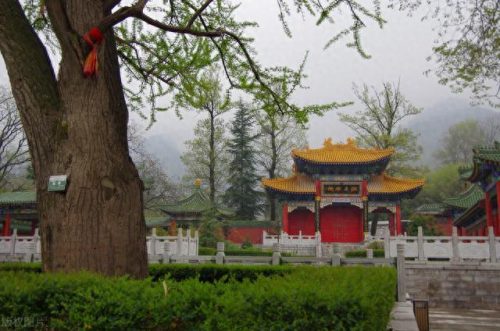 中国养生道观排名前十(南宁道观排名一览表)插图38