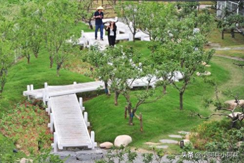 2020上海古镇排名前十(上海最热闹的古镇排名)插图5